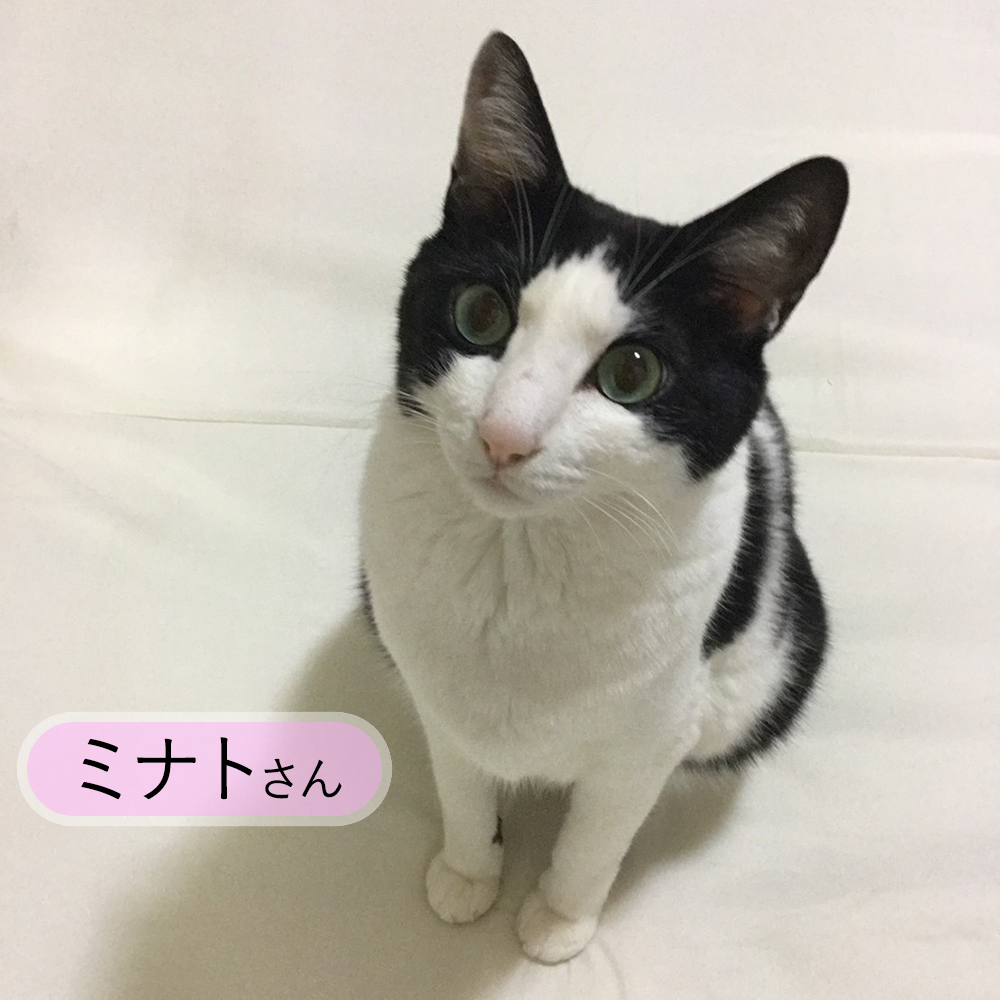 kunikane01_photo