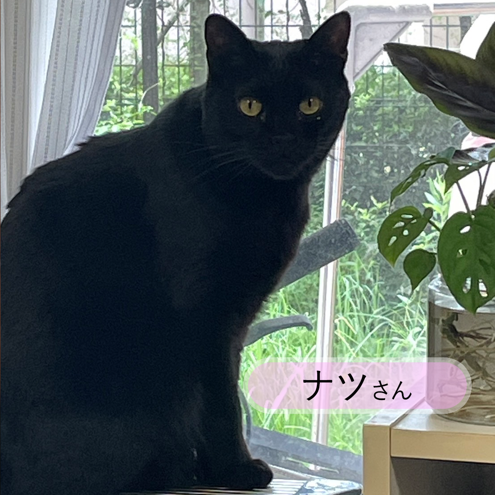kunikane02_photo