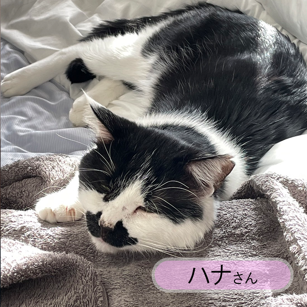 kunikane02_photo