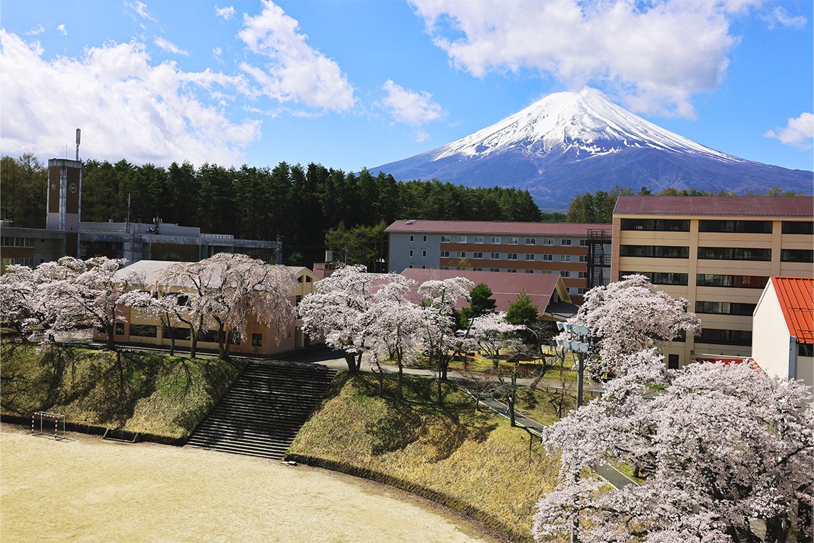 2019年 昭和医科大学 物理 第2問